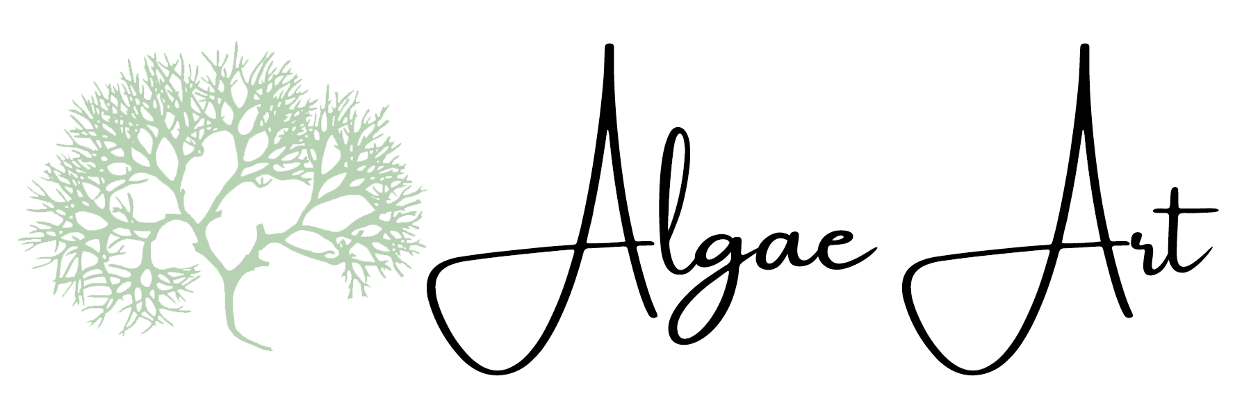 Algae Art Studio