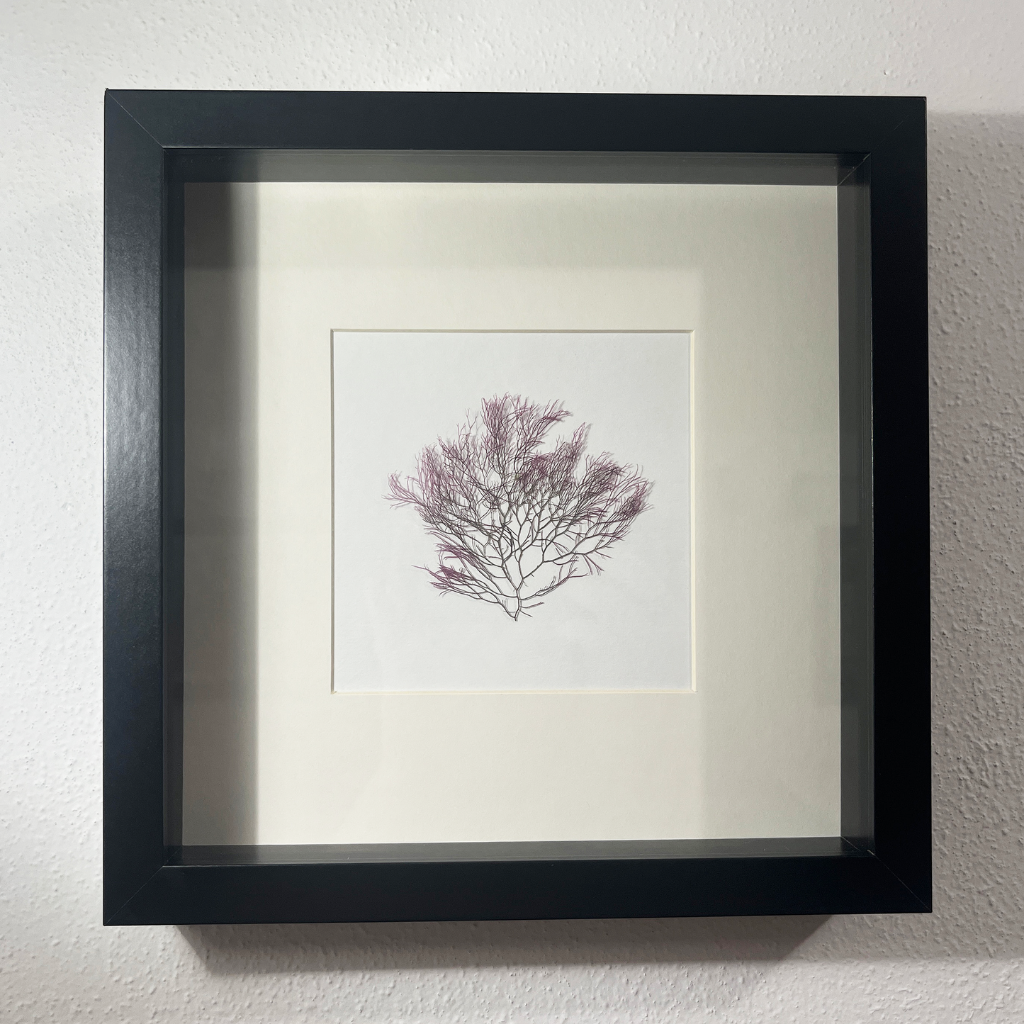 Shadow Box - #3