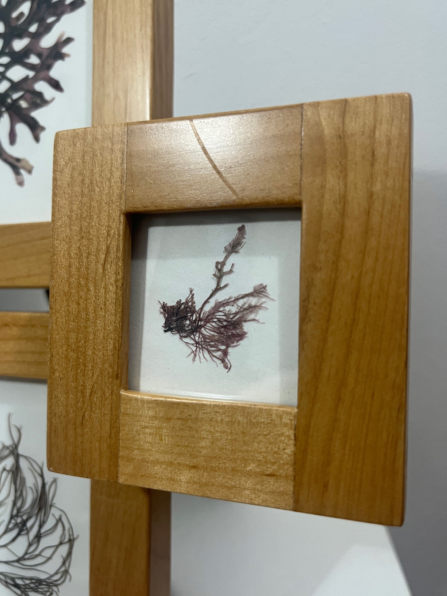 Layered Treehouse Frame