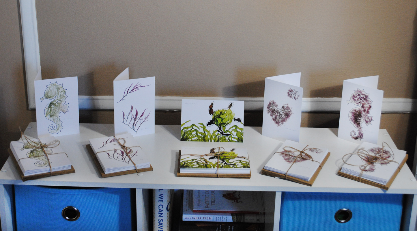 Greeting Card Variety Pack