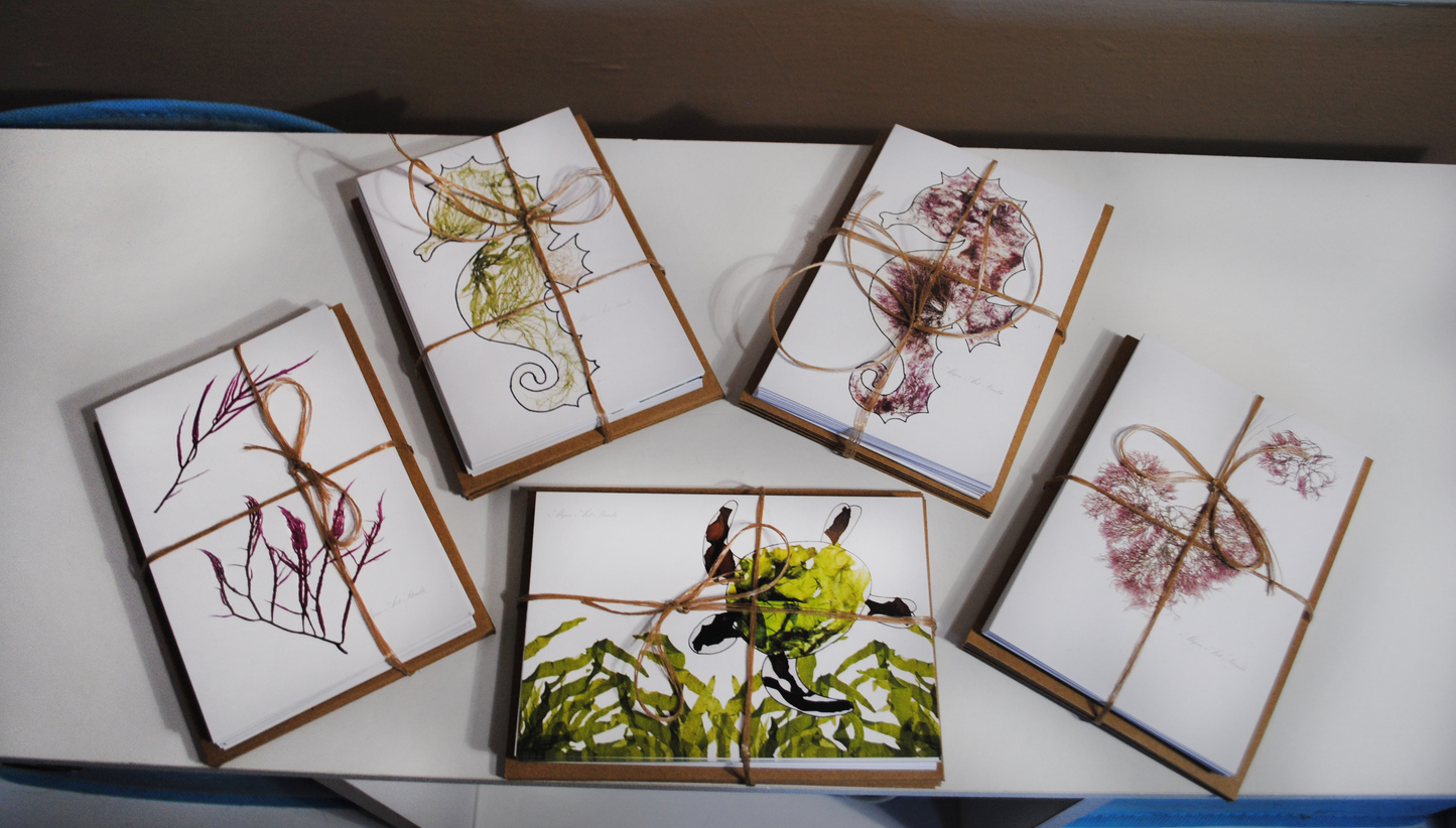 Greeting Card Variety Pack