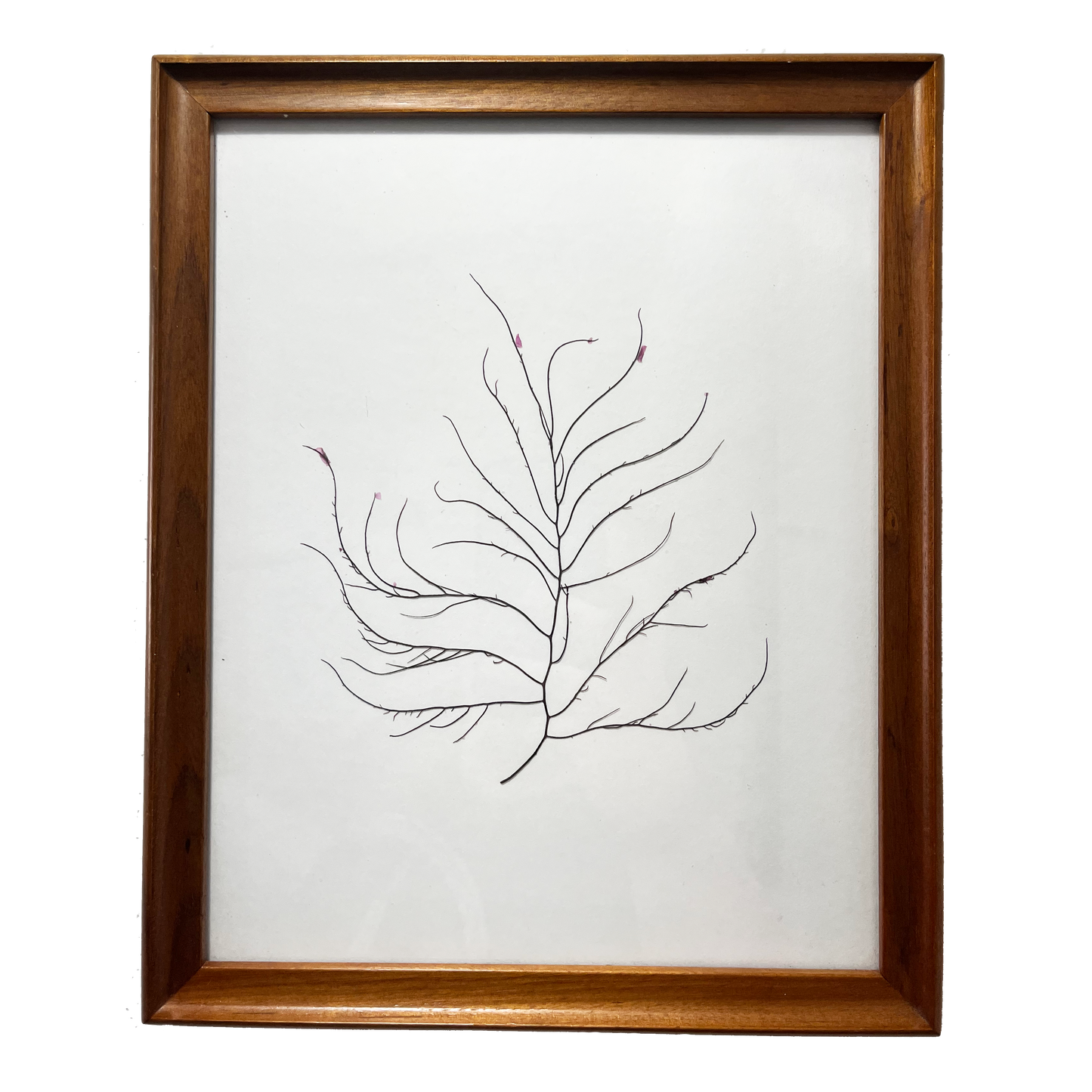 Minimalist Tree Design