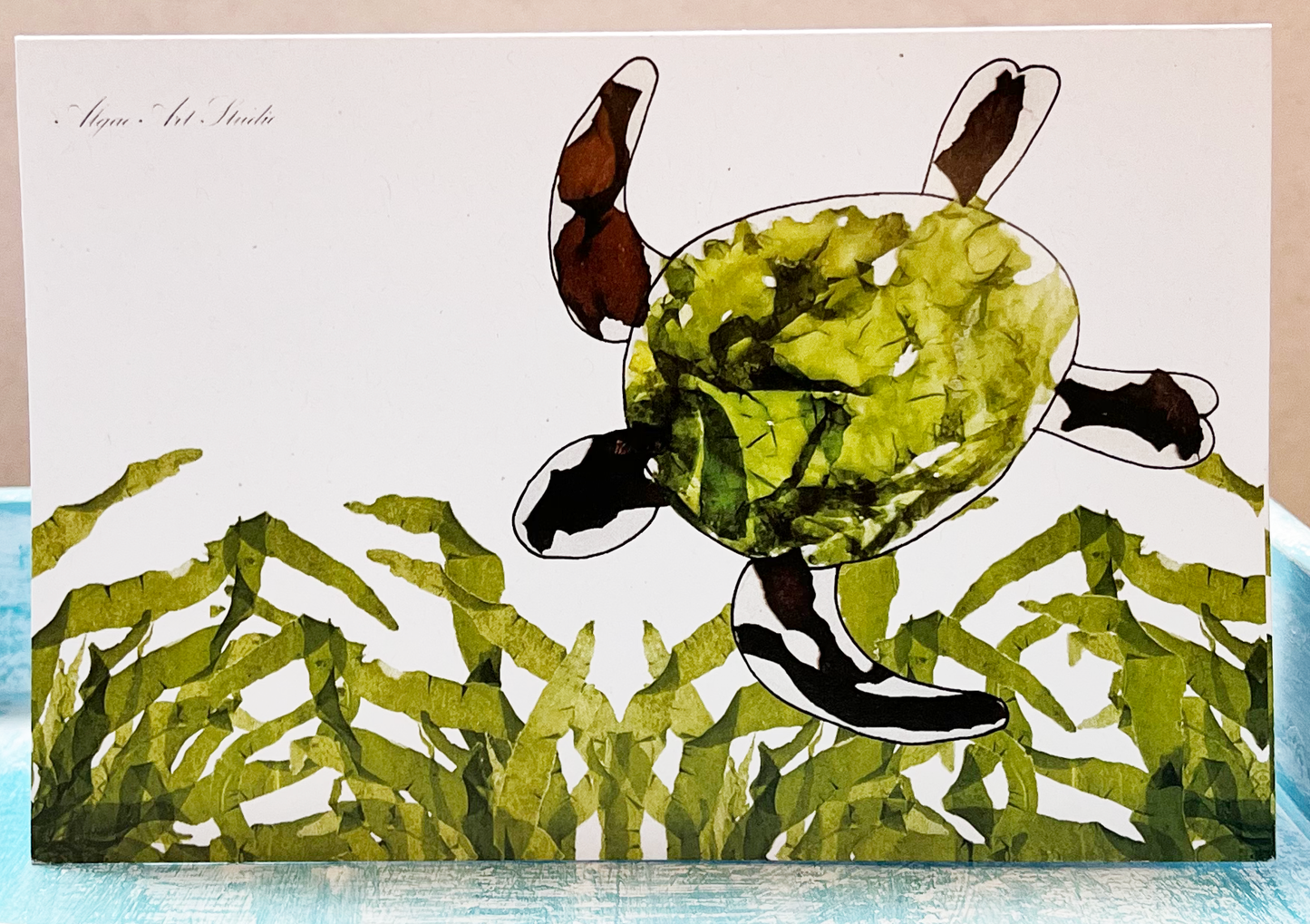 Sea Turtle Greeting Cards