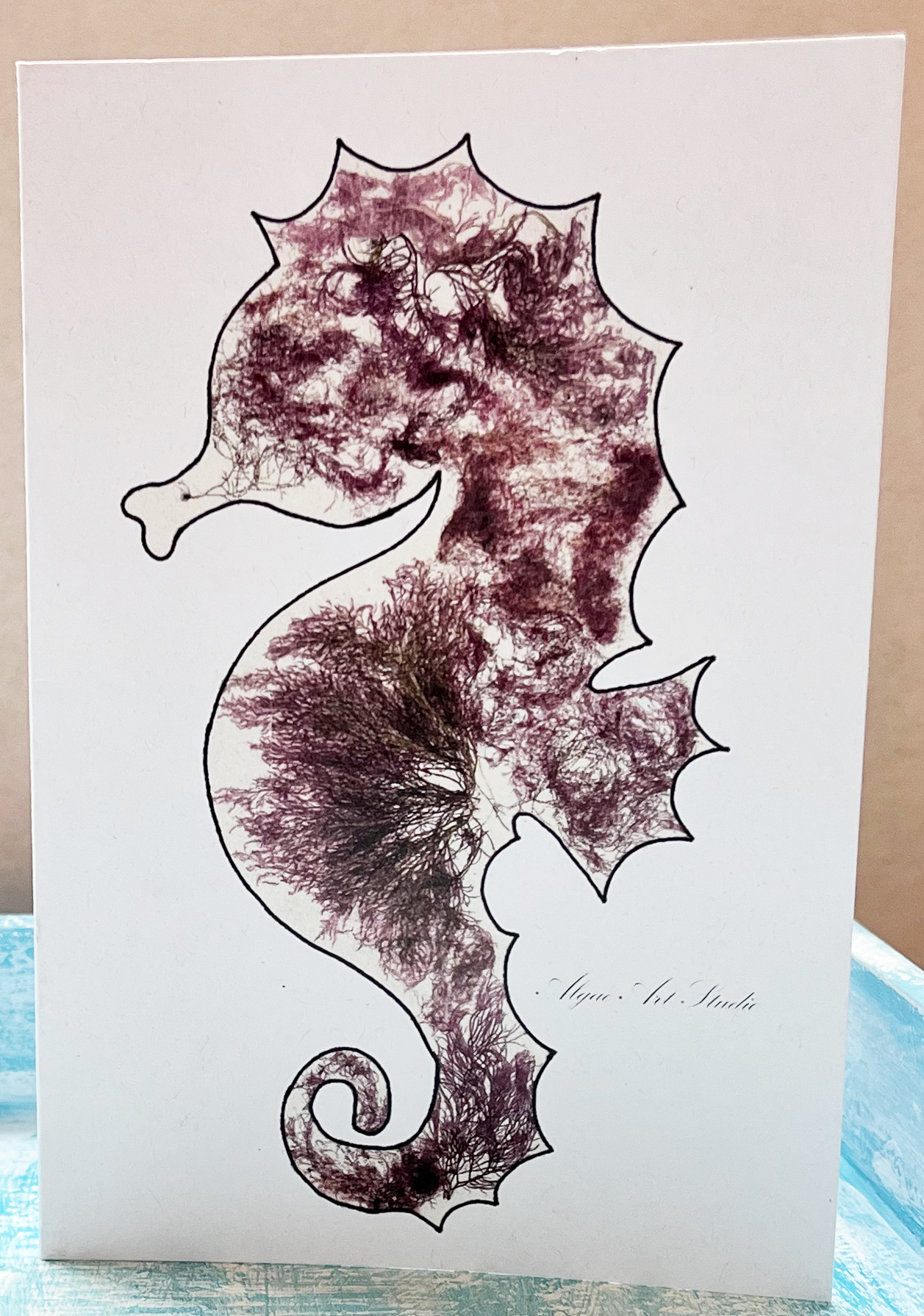 Greeting Card Variety Pack