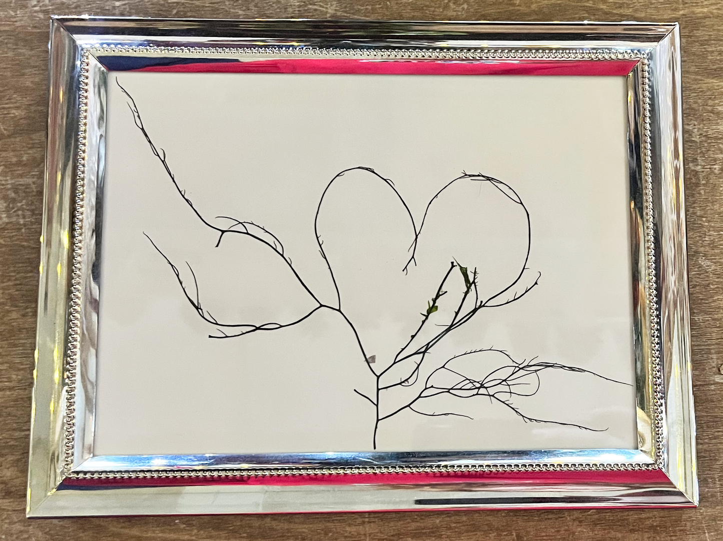 Medium branching heart