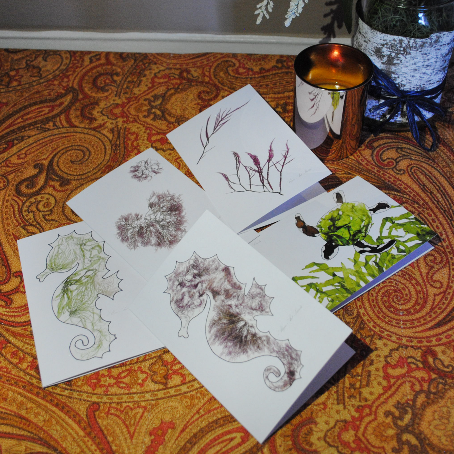Greeting Card Variety Pack