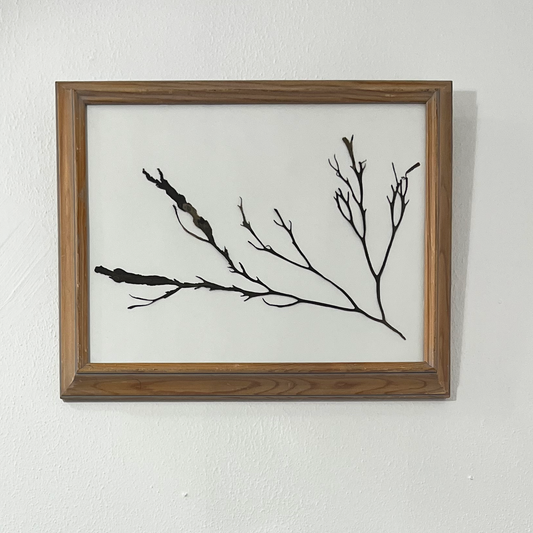 Large Minimalist Branching Algae