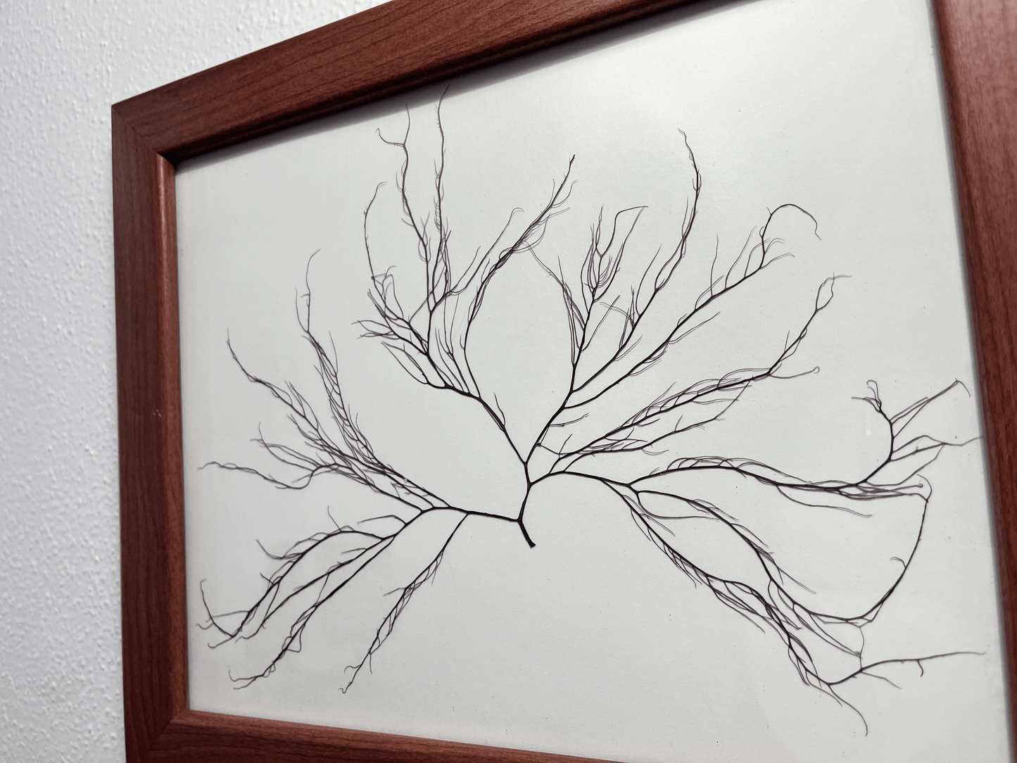 Purple-tinted Branching Algae