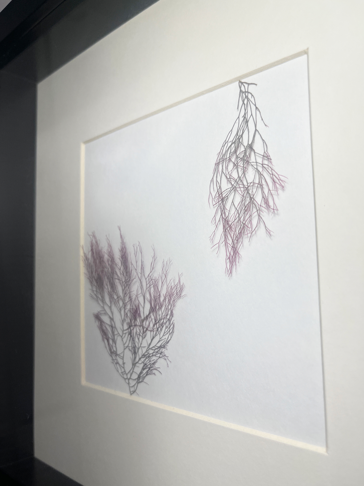Shadow Box - #2