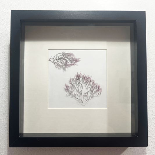 Shadow Box - #1
