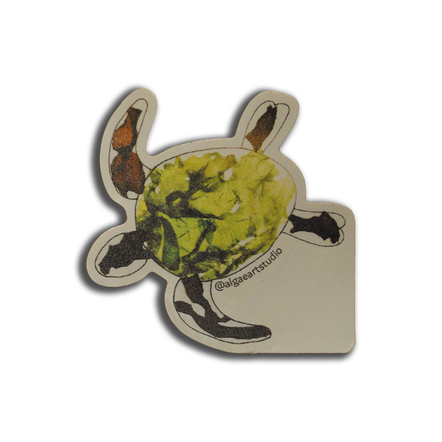 Sea Turtle Stickers