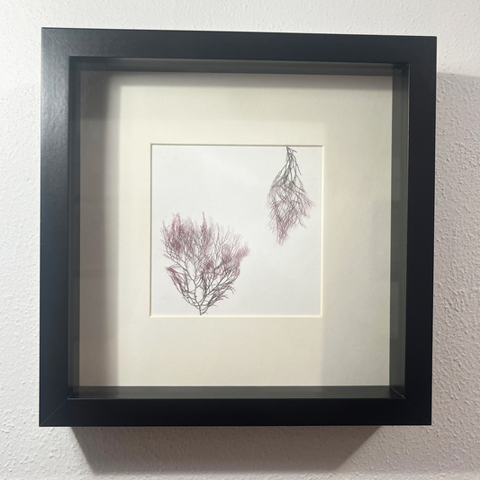 Shadow Box - #2