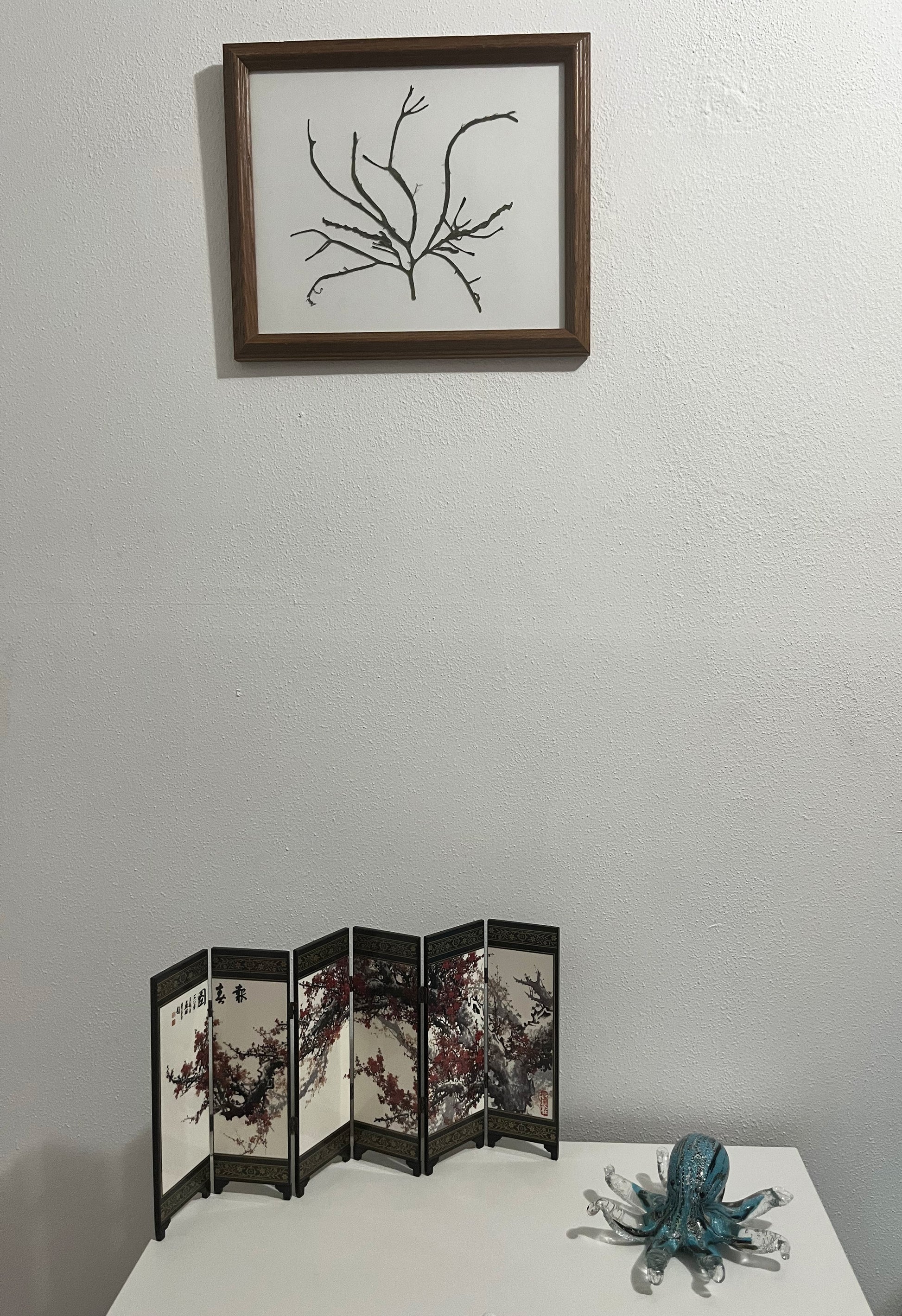 Green Medusa – Algae Art Studio