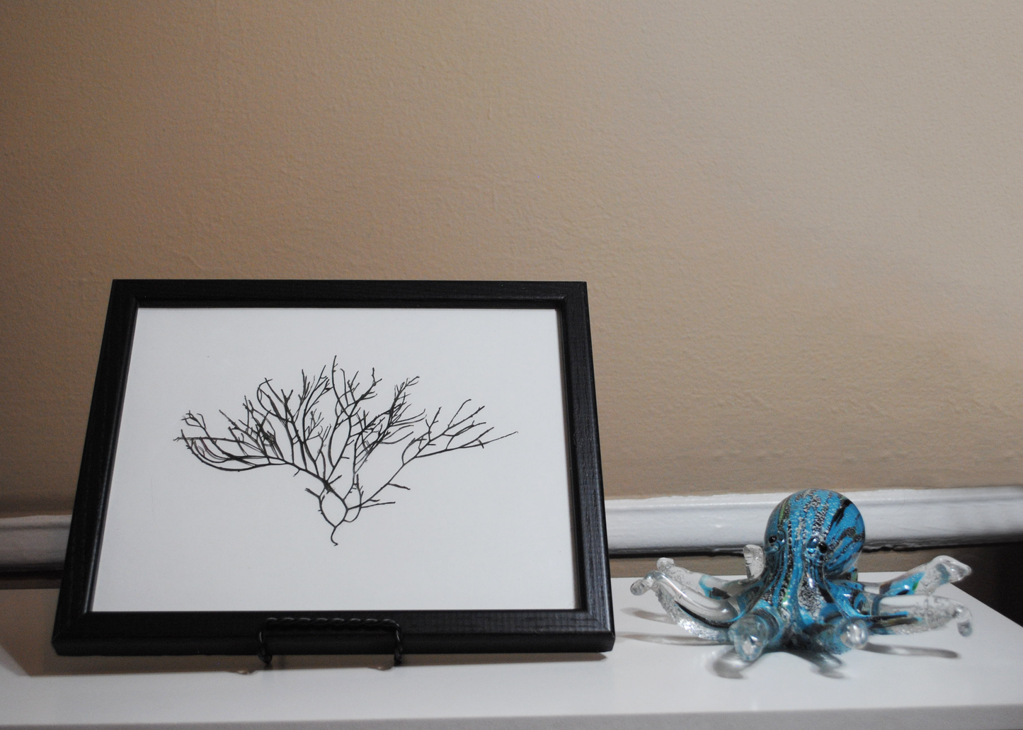 Large Branching Algae