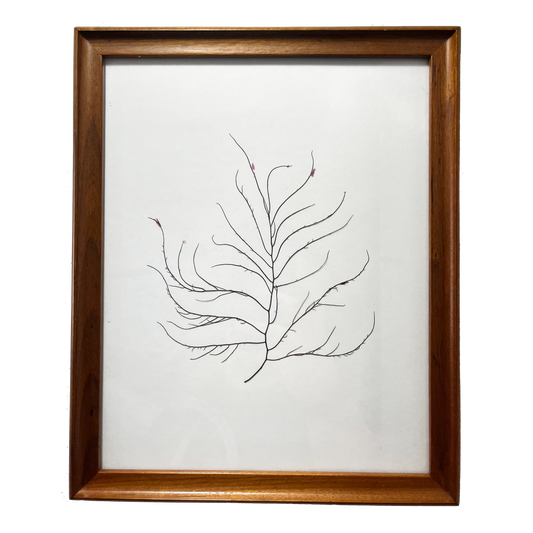 Minimalist Tree Design