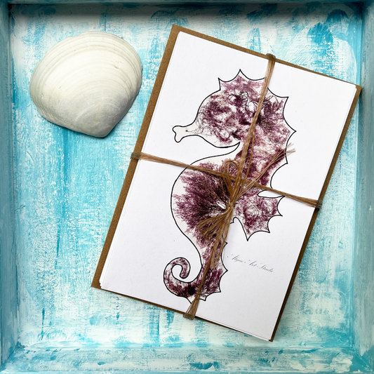 Pink Seahorse Greeting Cards
